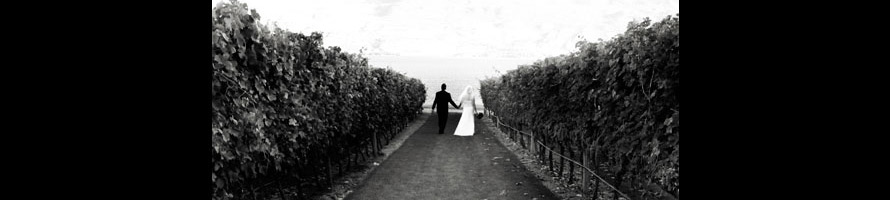 hull photographic